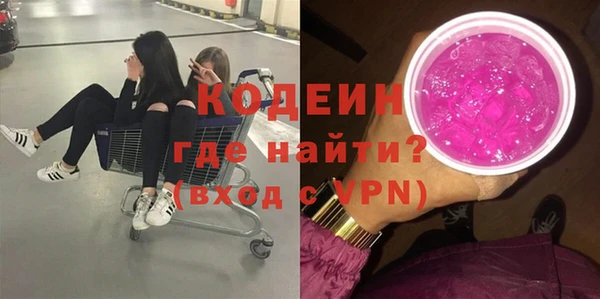 хмурый Елизово