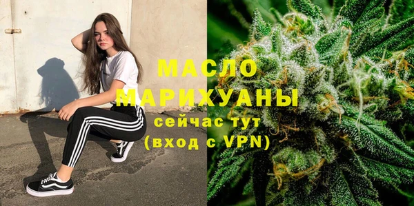 гашик Пересвет