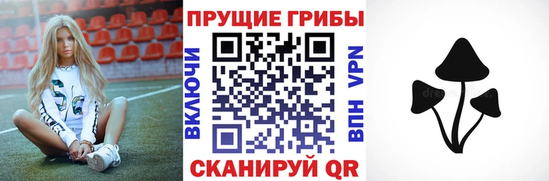 Псилоцибиновые грибы Psilocybe  маркетплейс официальный сайт  Славянск-на-Кубани  где можно купить наркотик 