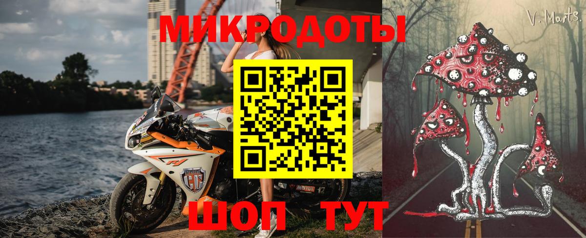 хочу наркоту  Славянск-на-Кубани  Псилоцибиновые грибы MAGIC MUSHROOMS 