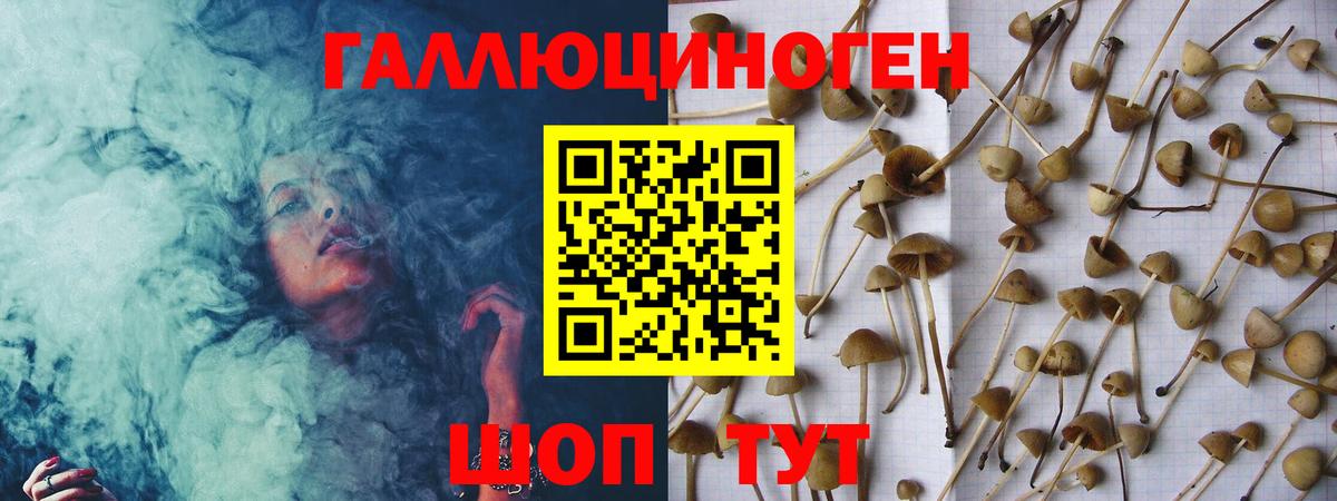 Славянск-на-Кубани  Галлюциногенные грибы Psilocybe  Вход с VPN 