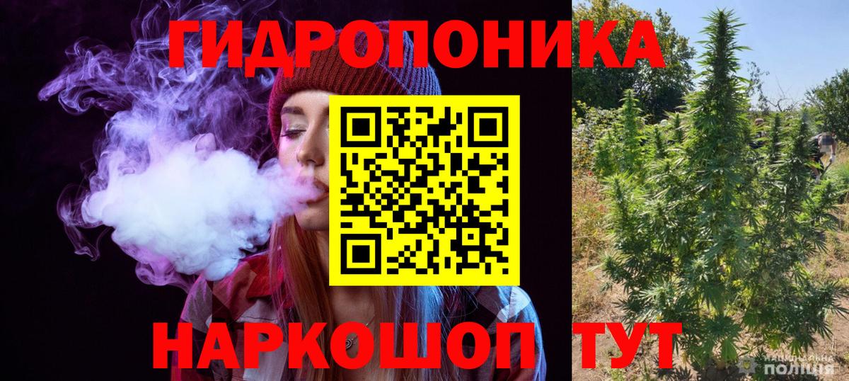 Бошки марихуана семена Славянск-на-Кубани